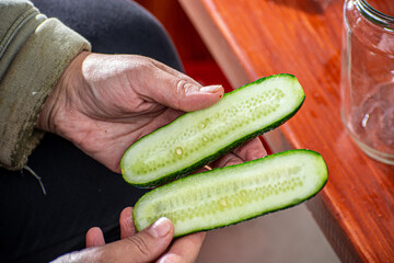Making of pickled cucumbers with mustard in a jar. Appetizer for gourmets.