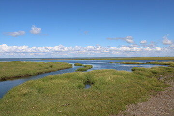 The beautiful Wadden Sea between the Danish mainland and Mandø island. 
