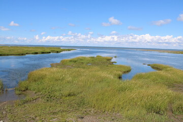 The beautiful Wadden Sea between the Danish mainland and Mandø island. 