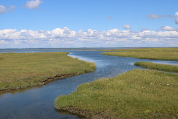 The beautiful Wadden Sea between the Danish mainland and Mandø island. 