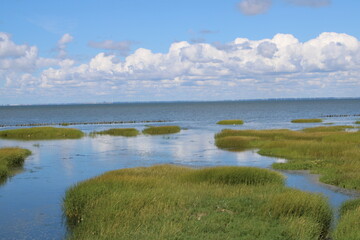The beautiful Wadden Sea between the Danish mainland and Mandø island. 