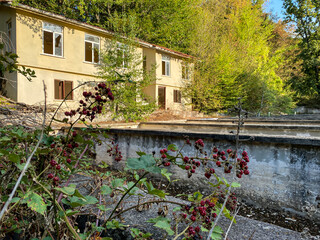 old house in the autumn