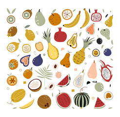 Hand drawn tropical and exotic fruits isolated on white background in unique trendy organic style. Doodle fruits. Natural tropical fruit. Vector illustrations of autumn objects fruits and vegetables.