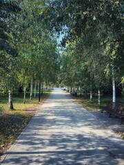 walk in the park