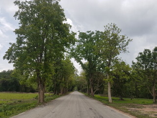 Entrance road to Wat Si Chum, Sukhothai, Thailand
