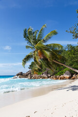 Seychelles Anse Georgette beach Praslin island palm portrait format vacation sea