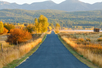 autumn colorful landscape with a country road lined with foliage leading to a farm in northwest...