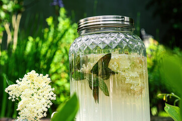 Elderflower cordial mint lemonade jug in the garden	