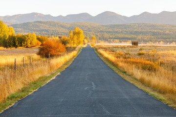 Naklejka premium autumn colorful landscape with a country road lined with foliage leading to a farm in northwest Montana