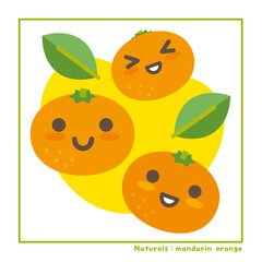 なちゅらるズ　みかん果実で収穫のご案内