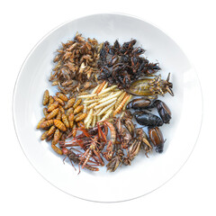 Combine fried insects with salt, protein food in a white dish top view isolated on white background. This has clipping path. Full depth of field.
