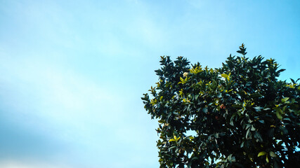 Paisagem 
