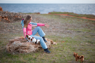 Fototapeta premium happy young female playing with small chihuahua dogs on ocean coast in spring