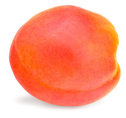 single apricot fruit isolated on white background. full depth of field