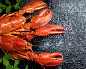 Partial view of two cooked lobsters on black background