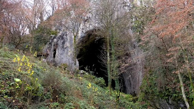 Flying above a monumental cave entrance among trees by drone