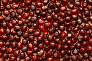 Autumn chestnut. Background. Flat lay