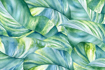 Watercolor floral design with tropica striped leaves