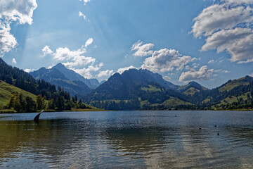 Fototapeta na wymiar lac noir en Suisse