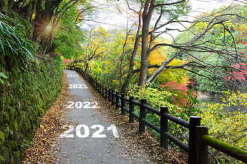 New year 2021 to 2024 on walkway in the mountain with maple trees, happy new year concept and natural background idea