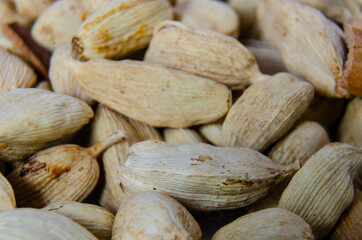 Fototapeta premium Close up view of cardamon pods.