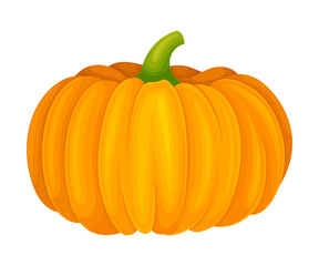 Orange Round Pumpkin with Smooth, Slightly Ribbed Skin Vector Illustration