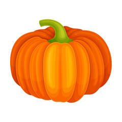 Orange Round Pumpkin with Smooth, Slightly Ribbed Skin Vector Illustration