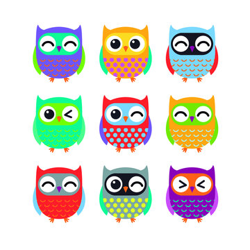 Owls set. Isolated Colorful vector illustration.