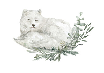 Watercolor illustration with a sleeping arctic fox in the snow and a bouquet of leaves. Winter wild white animal