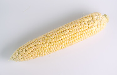 yellow corn fresh