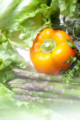 野菜