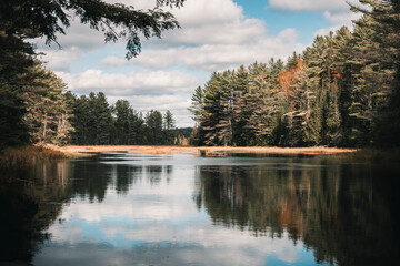 Fall colors in nature. The image was taken in Algonquin Park in Ontario Canada. Captured during the fall with leaves turning colors and a sign that summer comes to an end and winter is on its way.