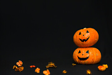 Two pumpkins on black background. Happy halloween