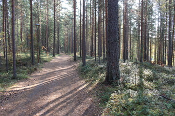Topeliuksenpolku, Punkaharju, Finland