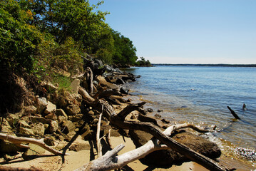 Fototapeta na wymiar Driftwood, concrete chunks and riprap line shoreline of Patuxent River near Solomons Island, Maryland. The hard materials are used to prevent erosion of the shoreline. Looking downstream.
