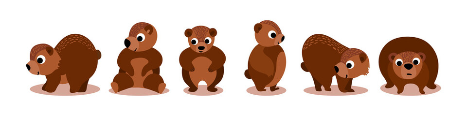 Cute cartoon bears collection. Funny woodland characters isolated on white background. Vector illustration.