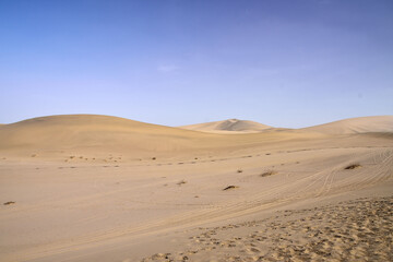 Echoing - Sand Dune