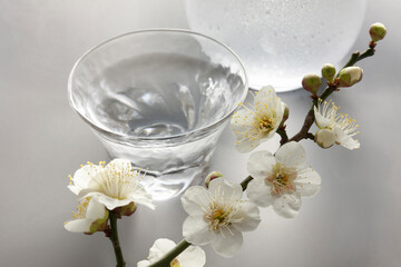 Obraz na płótnie Canvas 日本酒と梅の花