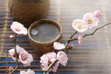 Obraz na płótnie Canvas 日本酒と梅の花