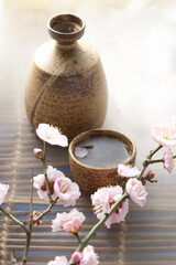 日本酒と梅の花