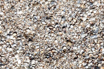 Background and texture of sand close up. Sea coast