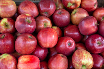 Fototapeta na wymiar Rote, glänzend frische Äpfel an einem Marktstand