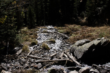 Autumn in Rocky Mountain National Park