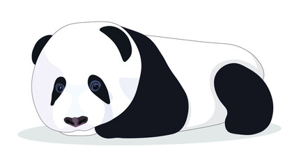 Cute Baby Panda Vector Illustration Isolated on White Background