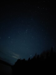Naklejka premium starry night sky