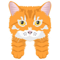 
A toyger cat lives in forest 
