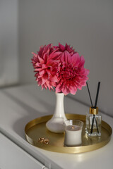 Pink dahlias in white room  in white vase. Soft selective focus.