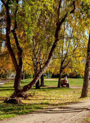 Two elderly women are sitting on a bench. Autumn landscape. Cityscape, view to the city of Yekaterinburg, Russia.