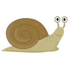
Snail usually known to be shelled gastropod icon
