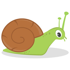 
Snail usually known to be shelled gastropod icon
